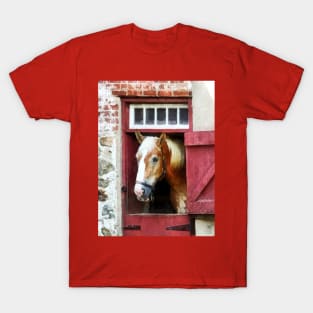 Horses - Palomino by Barn Door T-Shirt